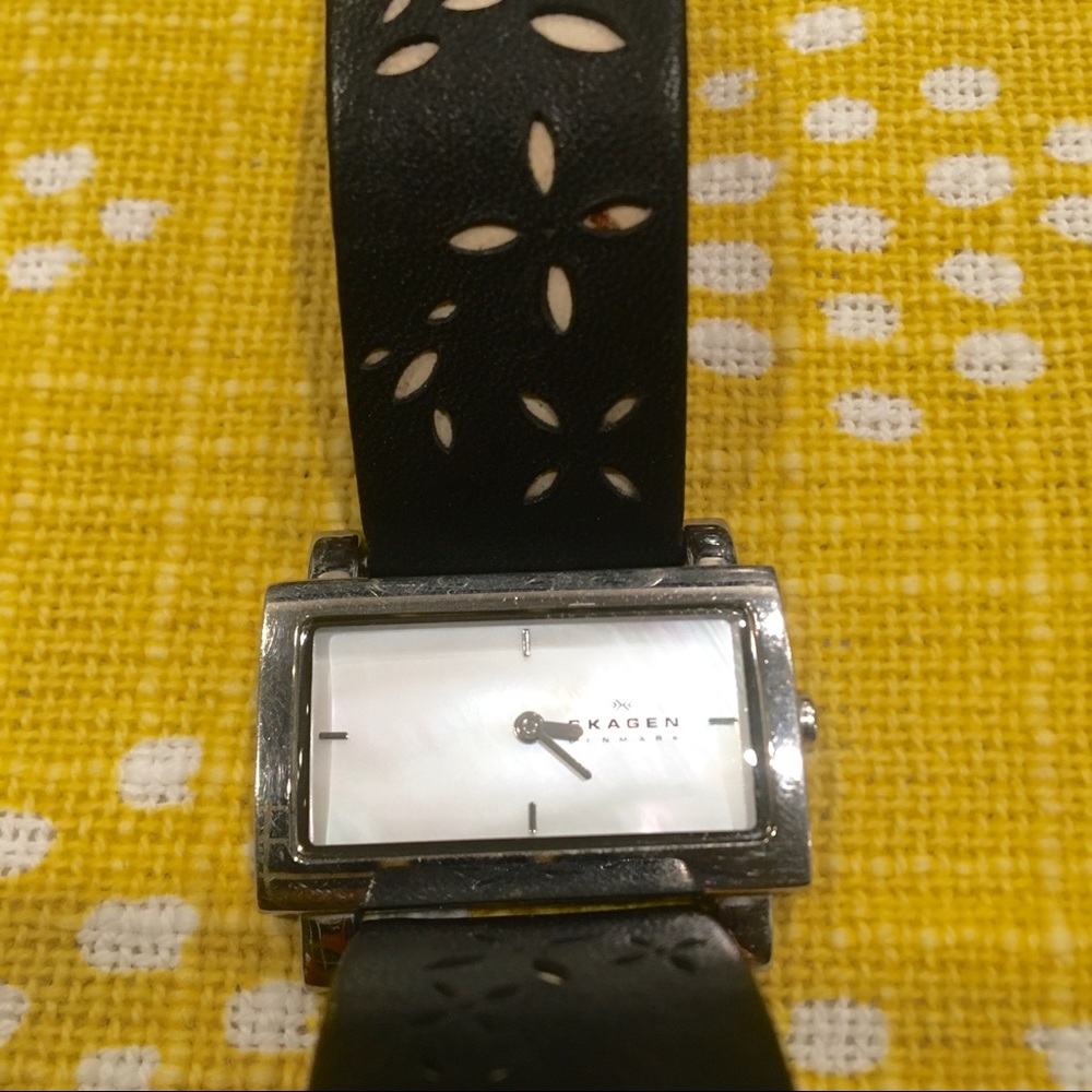 Skagen Watch